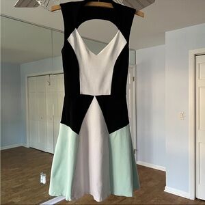 Bebe Colorblock Skater Dress XS